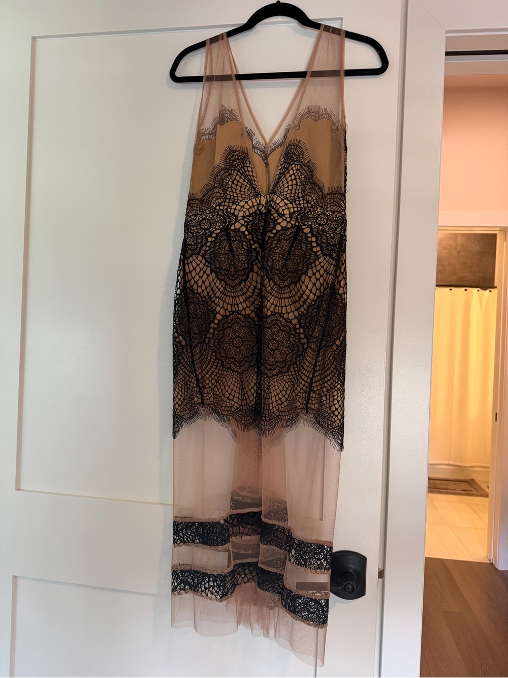 For love and lemons sheer lace dress - Picture 4 of 8